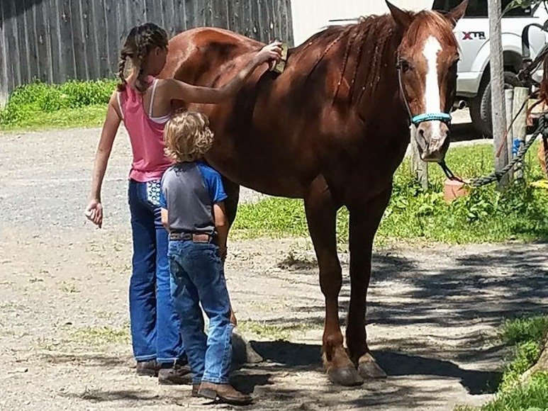 24/7 Care for your Horse