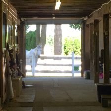 Bottom Barn