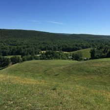 Top Pasture