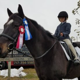 Riding at Competitions