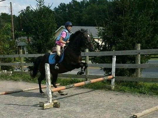 Jumping Practice in Large Outdoor Ring